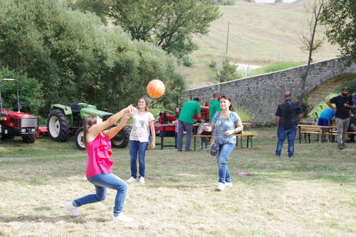 Clicca e ingrandisci la foto