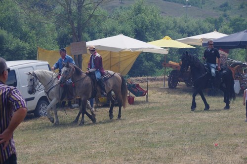 Clicca e ingrandisci la foto