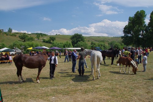 Clicca e ingrandisci la foto