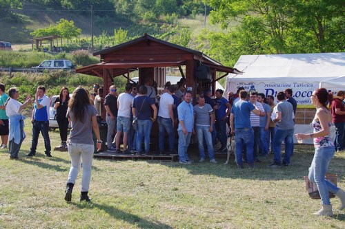 Clicca e ingrandisci la foto