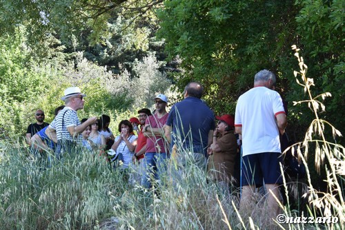 Clicca e ingrandisci la foto