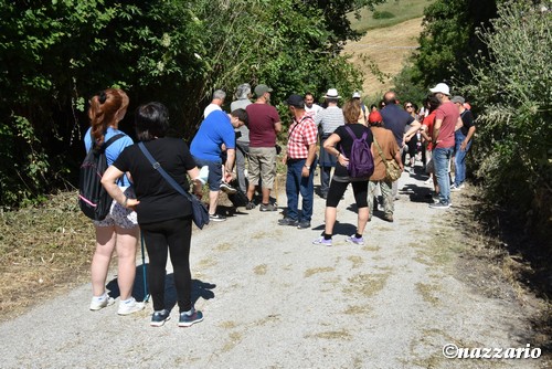 Clicca e ingrandisci la foto