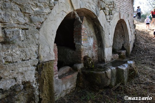 Clicca e ingrandisci la foto