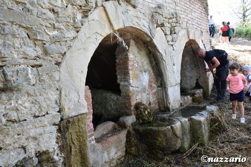 Clicca e ingrandisci la foto