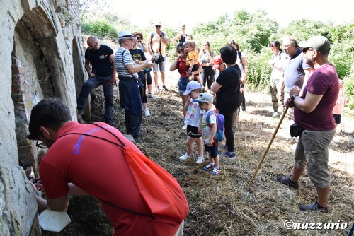 Clicca e ingrandisci la foto