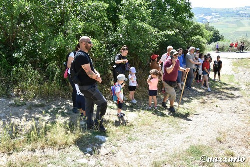 Clicca e ingrandisci la foto