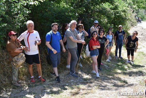 Clicca e ingrandisci la foto