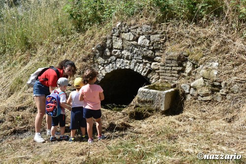 Clicca e ingrandisci la foto