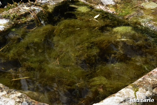 Clicca e ingrandisci la foto