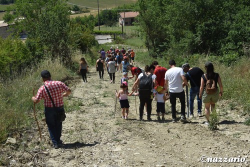 Clicca e ingrandisci la foto