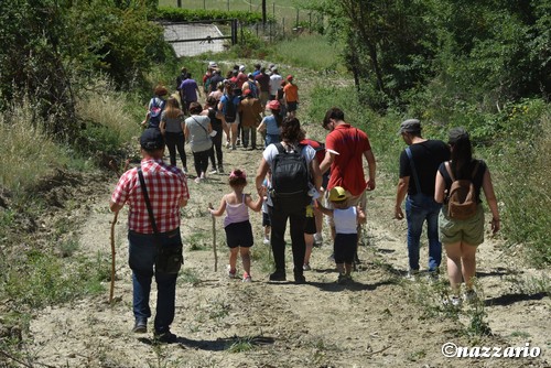 Clicca e ingrandisci la foto