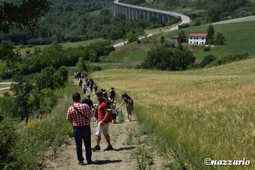 Clicca e ingrandisci la foto