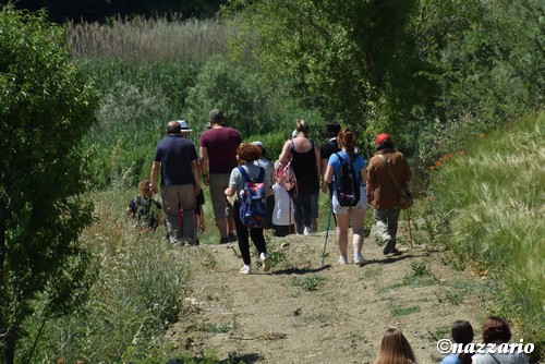 Clicca e ingrandisci la foto