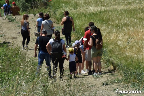 Clicca e ingrandisci la foto