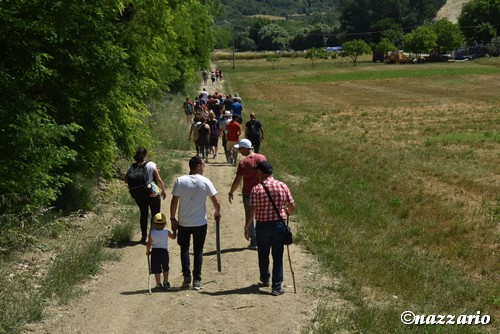 Clicca e ingrandisci la foto