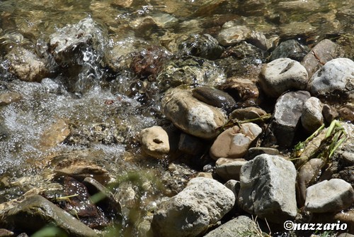 Clicca e ingrandisci la foto