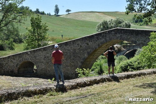 Clicca e ingrandisci la foto